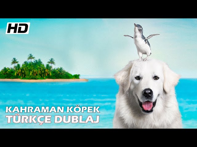 Kahraman Kopek